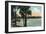 Orlando, Florida - Scenic View of Lake Lucerne-Lantern Press-Framed Art Print