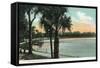 Orlando, Florida - Scenic View of Lake Lucerne-Lantern Press-Framed Stretched Canvas