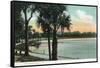 Orlando, Florida - Scenic View of Lake Lucerne-Lantern Press-Framed Stretched Canvas