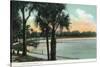 Orlando, Florida - Scenic View of Lake Lucerne-Lantern Press-Stretched Canvas