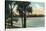 Orlando, Florida - Scenic View of Lake Lucerne-Lantern Press-Stretched Canvas