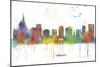 Orlando Florida Skyline MCLR 1-Marlene Watson-Mounted Giclee Print