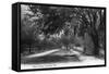 Orlando, Florida - View Down West Street-Lantern Press-Framed Stretched Canvas