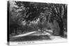 Orlando, Florida - View Down West Street-Lantern Press-Stretched Canvas