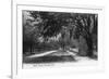 Orlando, Florida - View Down West Street-Lantern Press-Framed Art Print