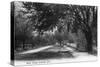 Orlando, Florida - View Down West Street-Lantern Press-Stretched Canvas