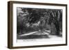 Orlando, Florida - View Down West Street-Lantern Press-Framed Art Print