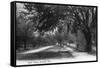 Orlando, Florida - View Down West Street-Lantern Press-Framed Stretched Canvas