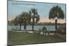 Orlando, Florida - View of Lake Eola and Eola Park-Lantern Press-Mounted Art Print