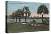 Orlando, Florida - View of Lake Eola and Eola Park-Lantern Press-Stretched Canvas