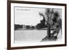 Orlando, Florida - View of Lake Lucerne from Shore-Lantern Press-Framed Art Print