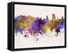 Orlando Skyline in Watercolor Background-paulrommer-Framed Stretched Canvas