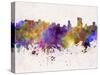 Orlando Skyline in Watercolor Background-paulrommer-Stretched Canvas