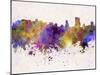 Orlando Skyline in Watercolor Background-paulrommer-Mounted Art Print