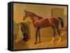 Orlando', Winner of the Derby in 1844-John Frederick Herring I-Framed Stretched Canvas