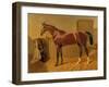 Orlando', Winner of the Derby in 1844-John Frederick Herring I-Framed Giclee Print