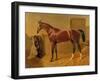 Orlando', Winner of the Derby in 1844-John Frederick Herring I-Framed Giclee Print