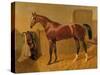 Orlando', Winner of the Derby in 1844-John Frederick Herring I-Stretched Canvas