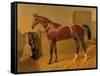 Orlando', Winner of the Derby in 1844-John Frederick Herring I-Framed Stretched Canvas