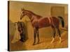 Orlando', Winner of the Derby in 1844-John Frederick Herring I-Stretched Canvas