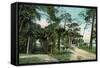 Ormond, Florida - Arbor View from Road-Lantern Press-Framed Stretched Canvas