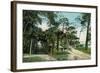 Ormond, Florida - Arbor View from Road-Lantern Press-Framed Art Print