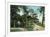 Ormond, Florida - Arbor View from Road-Lantern Press-Framed Premium Giclee Print