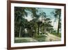 Ormond, Florida - Arbor View from Road-Lantern Press-Framed Premium Giclee Print