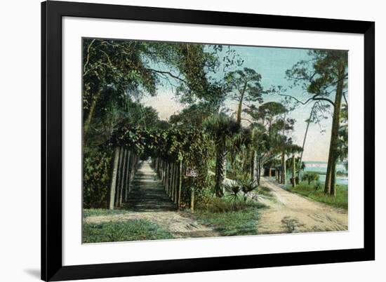 Ormond, Florida - Arbor View from Road-Lantern Press-Framed Premium Giclee Print