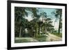 Ormond, Florida - Arbor View from Road-Lantern Press-Framed Premium Giclee Print