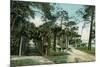 Ormond, Florida - Arbor View from Road-Lantern Press-Mounted Premium Giclee Print