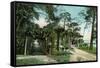 Ormond, Florida - Arbor View from Road-Lantern Press-Framed Stretched Canvas