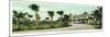 Ormond, Florida - Hotel Ormond Exterior View-Lantern Press-Mounted Premium Giclee Print