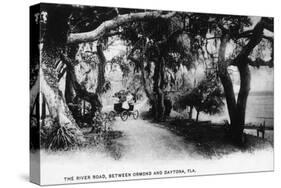 Ormond, Florida - on the River Road to Daytona Beach-Lantern Press-Stretched Canvas
