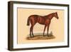 Ormond-L. Penicaut-Framed Art Print