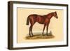 Ormond-L. Penicaut-Framed Art Print