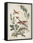 Ornament. Chinoiserie. Flowers and Birds., 1770-Jean Baptiste Pillement-Framed Stretched Canvas