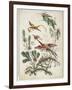 Ornament. Chinoiserie. Flowers and Birds., 1770-Jean Baptiste Pillement-Framed Giclee Print