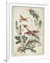 Ornament. Chinoiserie. Flowers and Birds., 1770-Jean Baptiste Pillement-Framed Giclee Print