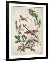 Ornament. Chinoiserie. Flowers and Birds., 1770-Jean Baptiste Pillement-Framed Giclee Print