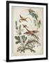 Ornament. Chinoiserie. Flowers and Birds., 1770-Jean Baptiste Pillement-Framed Giclee Print