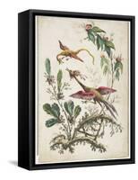 Ornament. Chinoiserie. Flowers and Birds., 1770-Jean Baptiste Pillement-Framed Stretched Canvas