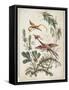 Ornament. Chinoiserie. Flowers and Birds., 1770-Jean Baptiste Pillement-Framed Stretched Canvas