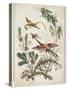 Ornament. Chinoiserie. Flowers and Birds., 1770-Jean Baptiste Pillement-Stretched Canvas