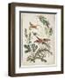 Ornament. Chinoiserie. Flowers and Birds., 1770-Jean Baptiste Pillement-Framed Giclee Print