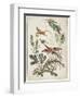 Ornament. Chinoiserie. Flowers and Birds., 1770-Jean Baptiste Pillement-Framed Giclee Print