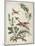 Ornament. Chinoiserie. Flowers and Birds., 1770-Jean Baptiste Pillement-Mounted Giclee Print