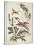 Ornament. Chinoiserie. Flowers and Birds., 1770-Jean Baptiste Pillement-Stretched Canvas