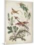 Ornament. Chinoiserie. Flowers and Birds., 1770-Jean Baptiste Pillement-Mounted Giclee Print