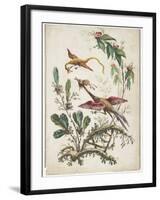 Ornament. Chinoiserie. Flowers and Birds., 1770-Jean Baptiste Pillement-Framed Giclee Print